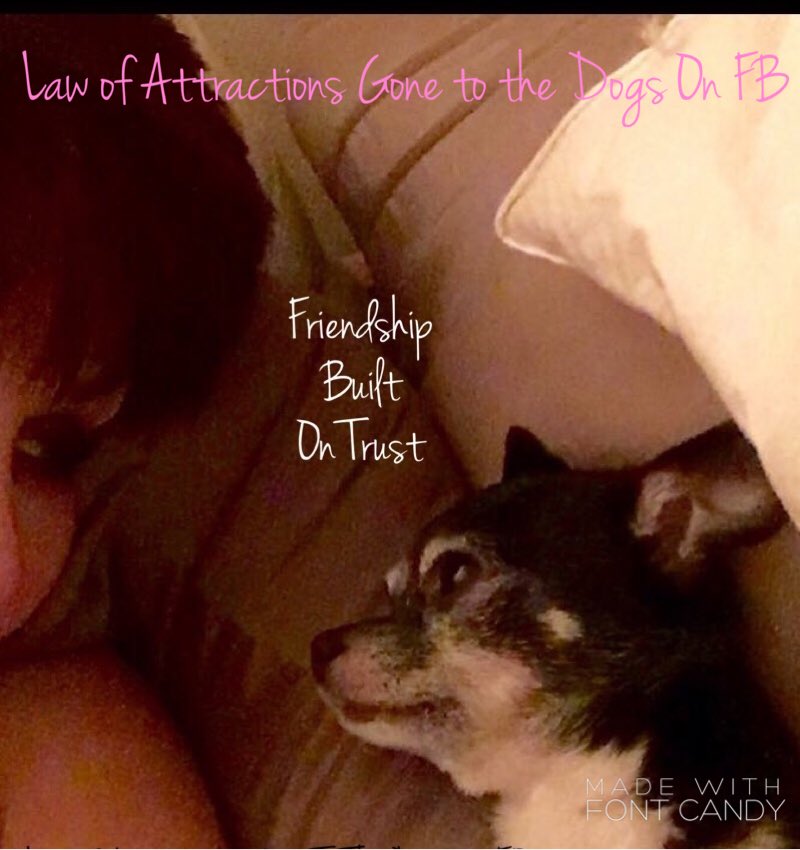 CoachNoriLove's tweet photo. #trust #BFF #lifecoach #Nori Love #zazu #lawofattraction  #personaldevelopment  #talentexpress #spiritualexpansion https://t.co/OpjHPW6rDP