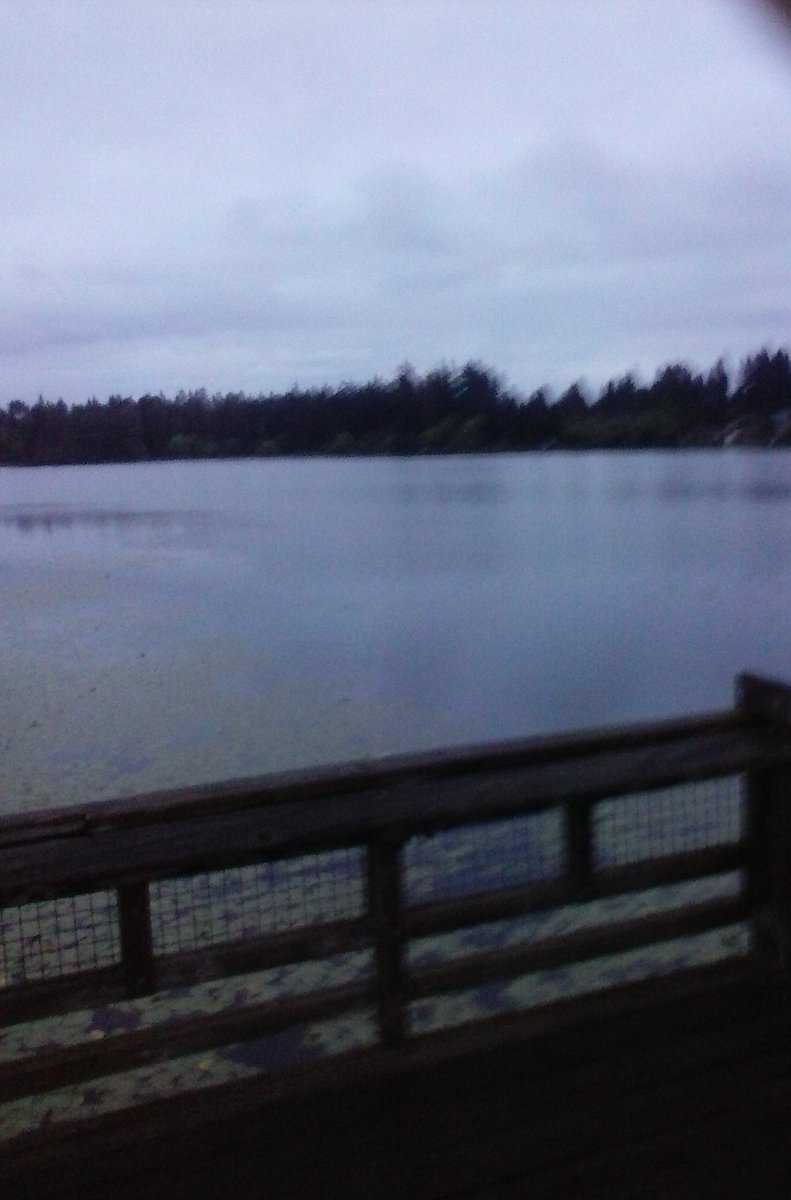 ToNewDays's tweet image. Good morning, I'm so tired and need to sleep.