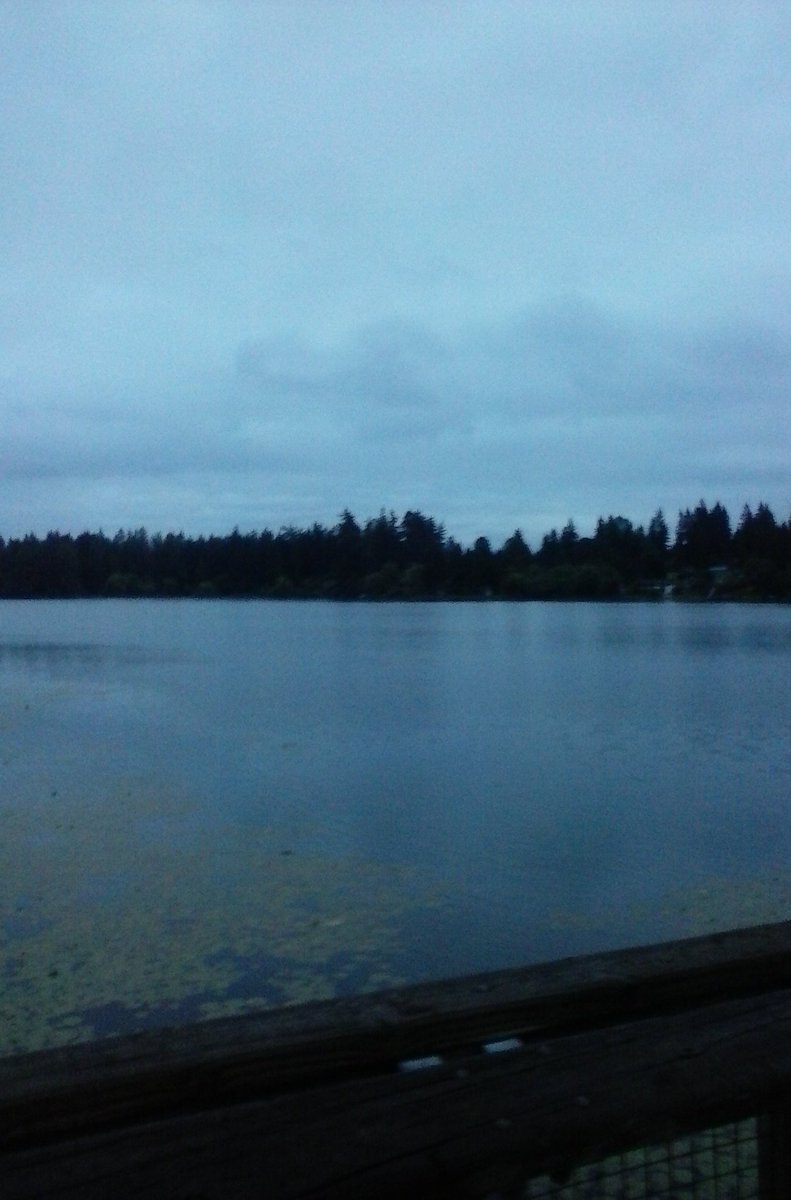 ToNewDays's tweet image. Good morning, I'm so tired and need to sleep.