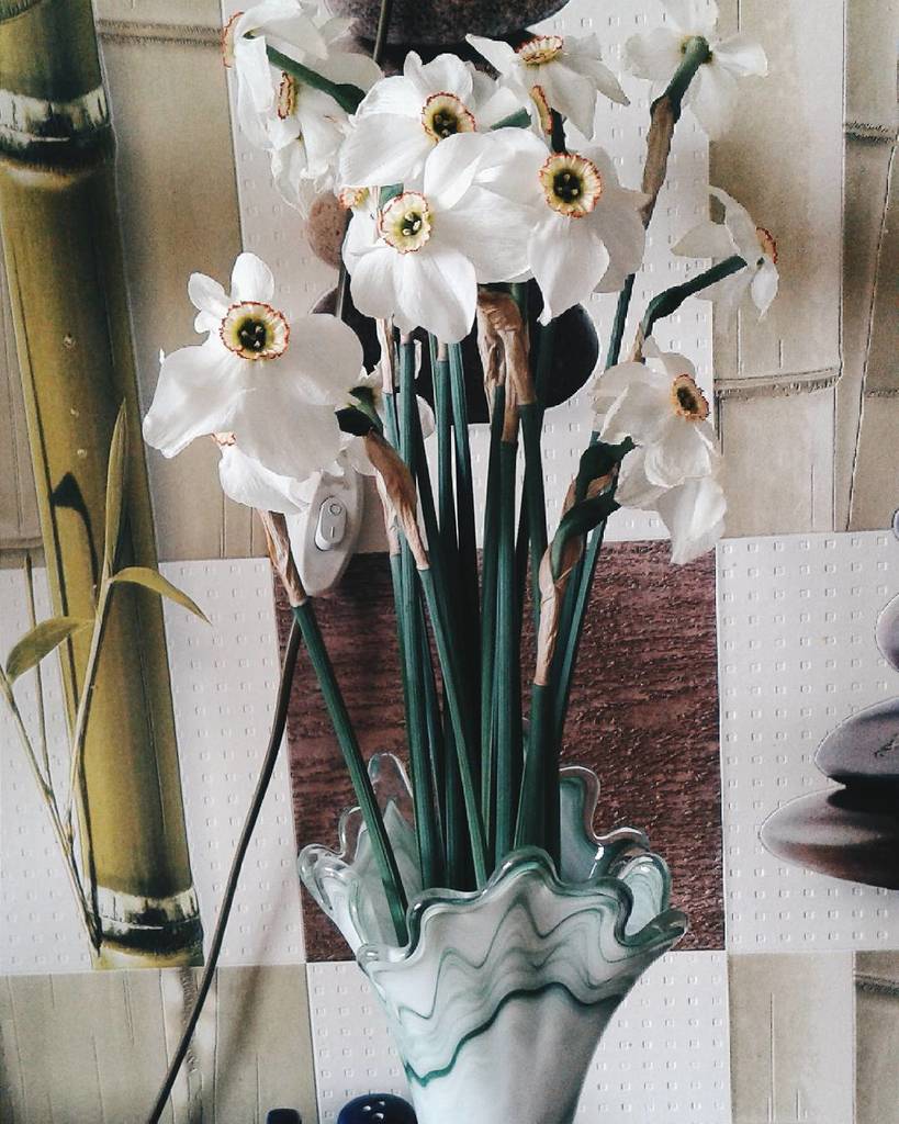 net_nvp's tweet photo. #flowers #following #comments #commentsme #followme #likeforlike #commentsforcomments #like4like #vsco https://t.co/jLTlzpN9EB