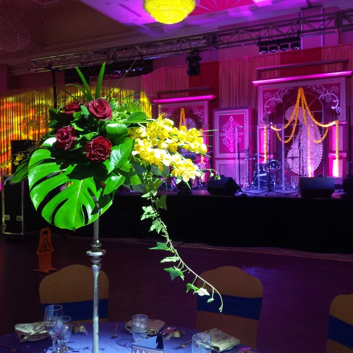 DonnaDoherty7's tweet photo. I had so much fun last night at my final gala working for #MSHospital. The #BBBBall was fantastic. https://t.co/t1Xzvapuqs
