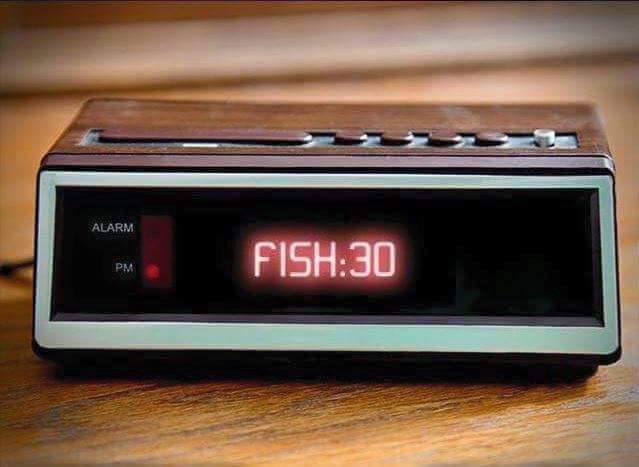 FishDestinFL's tweet photo. Have you booked your #fishing trip yet? #fishdestinfl https://t.co/PRAIAaVKnt