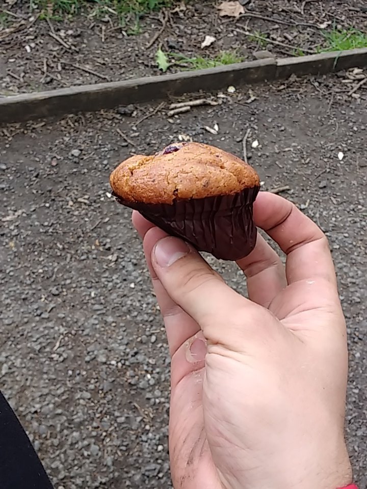 AidansBoatClub's tweet photo. Turns out muffins don't travel well #muffinsmeanmiles #milesnotMiles https://t.co/BnmPk29H1n