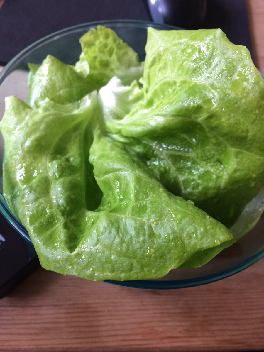 Ready_Sow_Grow's tweet photo. Our lettuce is now ready to eat 😋 tastes delicious too #growyourown https://t.co/5Aszi1t693