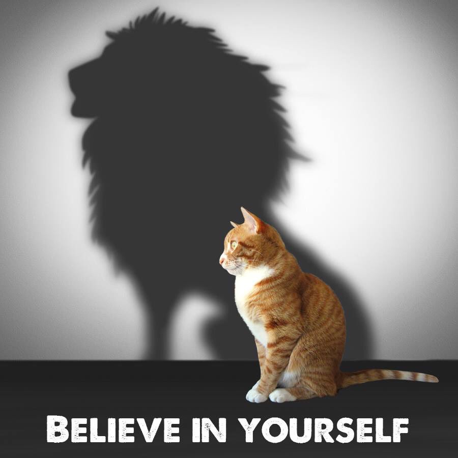 jamberryjouk's tweet photo. #releasethebeast #believe #jamberryjouk #yougotthis #staystrong #lion #pussycat #you https://t.co/vKATN54toR