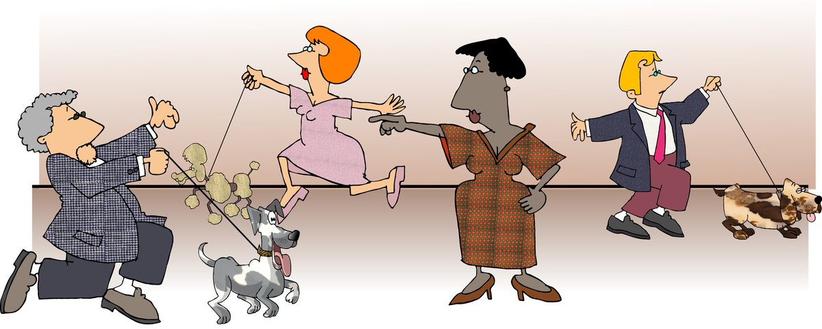 ReigateEventsCo's tweet image. Sue was taking no prisoners! ReigateDogShow.com  #reigate #dogs July 2 Priory Park