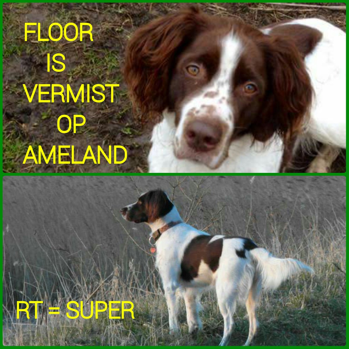 Wie heeft Floor gezien??
#Ameland