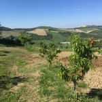 Photo by exploringmarche (@exploringmarche)