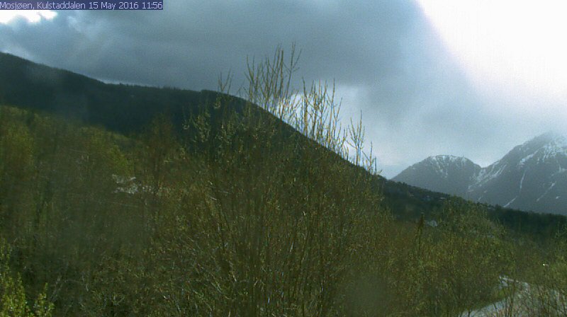 ArntSoloy's tweet photo. 12:00 Temp: 8.4oC Barometer: 1011.8 hpa Nedbør:  5.8 mm Fuktighet:76 % #weatherdisplay #Mosjøen #Kulstaddalen https://t.co/CN4zBz3Yb1