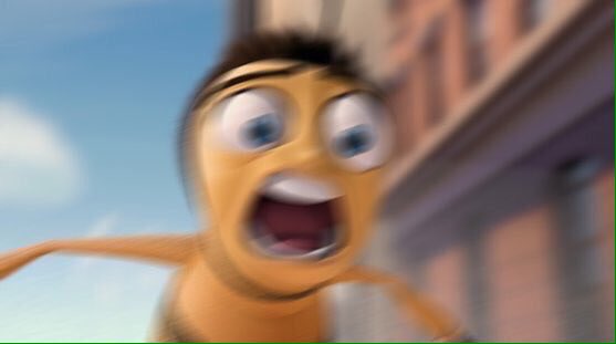 Bee Movie Script tweet media