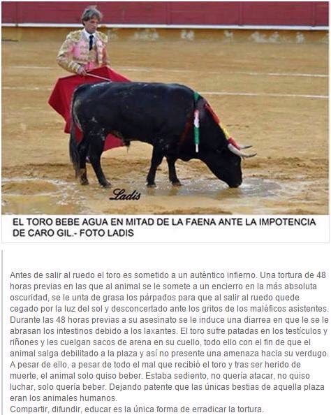 wolvesmiley's tweet photo. Que asco de sociedad https://t.co/4S2SbtQMbU