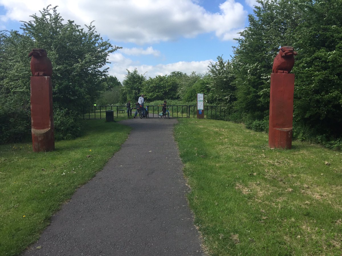 mellbugOT's tweet image. Enjoying our local green space on bikes #OTcomm