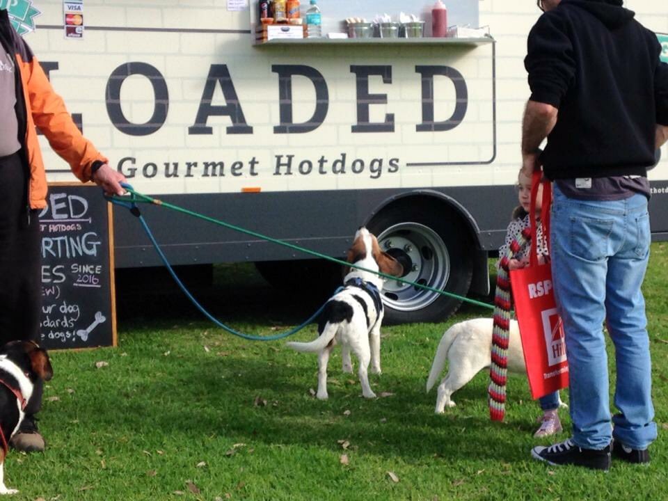 LHotdogs's tweet photo. I'm ready to order dad! #RSPCA #millionpawswalk #loadedgourmethotdogs #welovedogs #lghotdogs https://t.co/EbQNVaYjAF