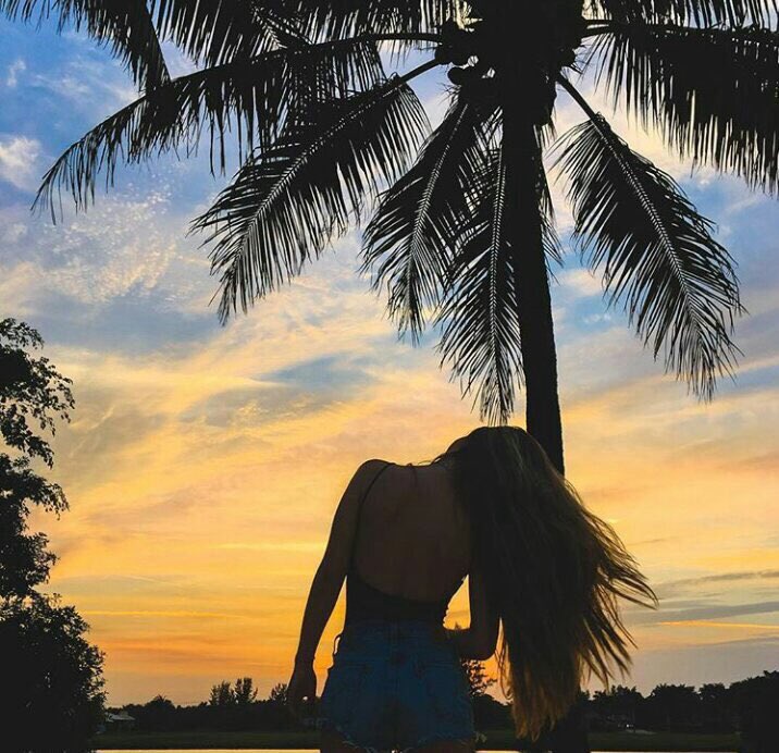🌴⛅️