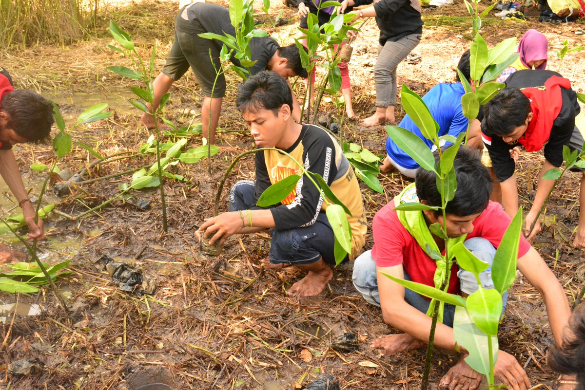 Penanaman hutan mangrove tanggal 15 mei 2016 dlam memperingati DIES PASUNG yang ke 17.Alhmdllah berjalan dg lancar .