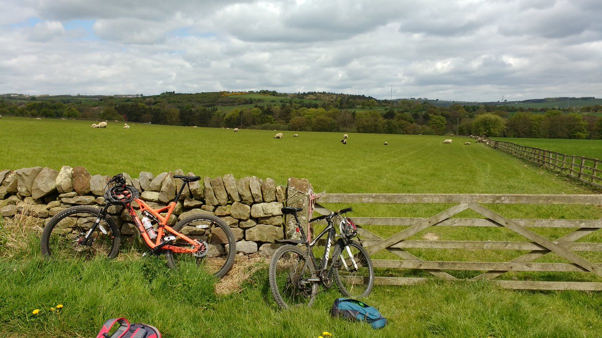 AidansBoatClub's tweet photo. SACBCBC on tour #notrowing #orangebike https://t.co/m2Gz4mMjri