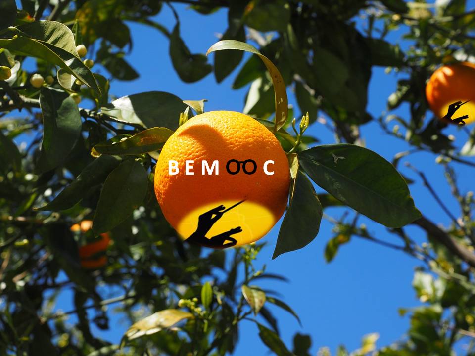 BemoocParis's tweet photo. "Il faut cultiver notre jardin"..#bemooc #learn #different https://t.co/fXLMDFgpVS