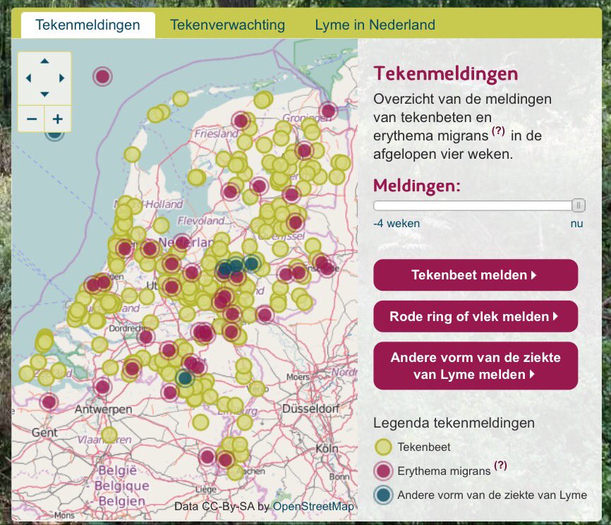 Tekenradar wordt overspoeld met meldingen van tekenbeten en rode kringen. Controleer uzelf en dierbaren goed! #teek