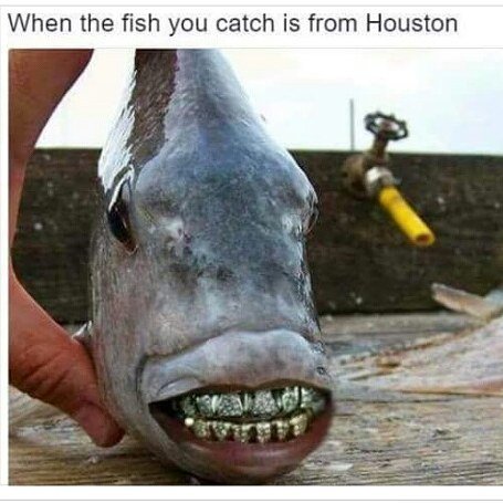 rocketsselfi's tweet photo. #Houston #htown #smileforme #grill #syrupcity #clutchcity #texas #soufwess #alief #swat #southwest #bangscrew #bruh… https://t.co/KpoHMUsXjG