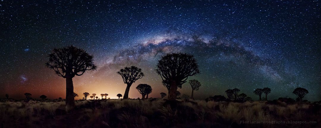 CosmosRevealed's tweet photo. #NASA #Astronomy Picture of the Day: "Milky Way Over Quiver Tree Forest"

https://t.co/ShhitvwlyB https://t.co/1ymy3fEwTU