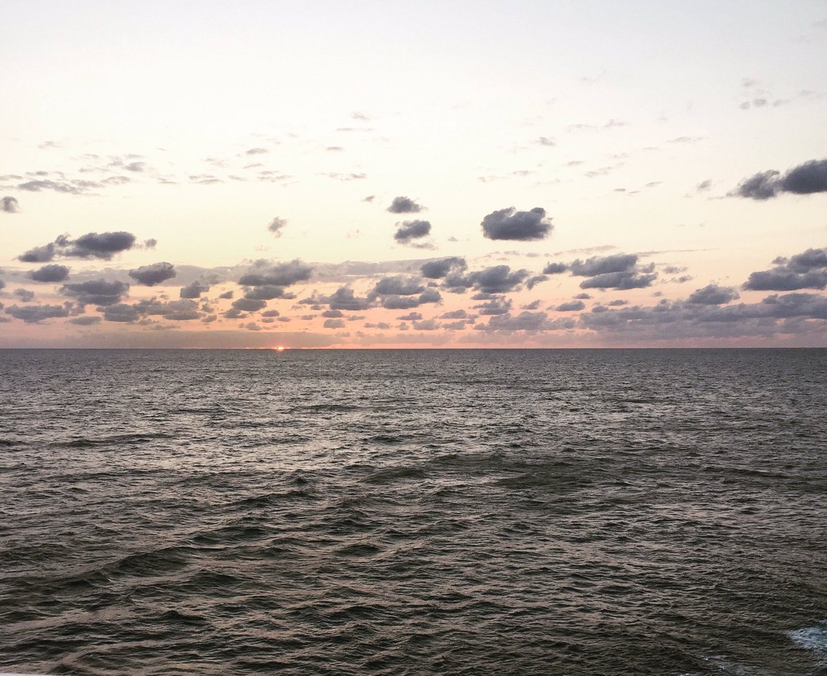 CautiousLB's tweet image. 