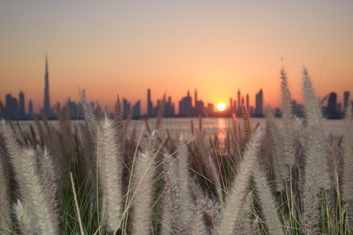 ModecTours's tweet image. #view from @theterrcedch #TERRACE #greatplace #picnic #placestovisit