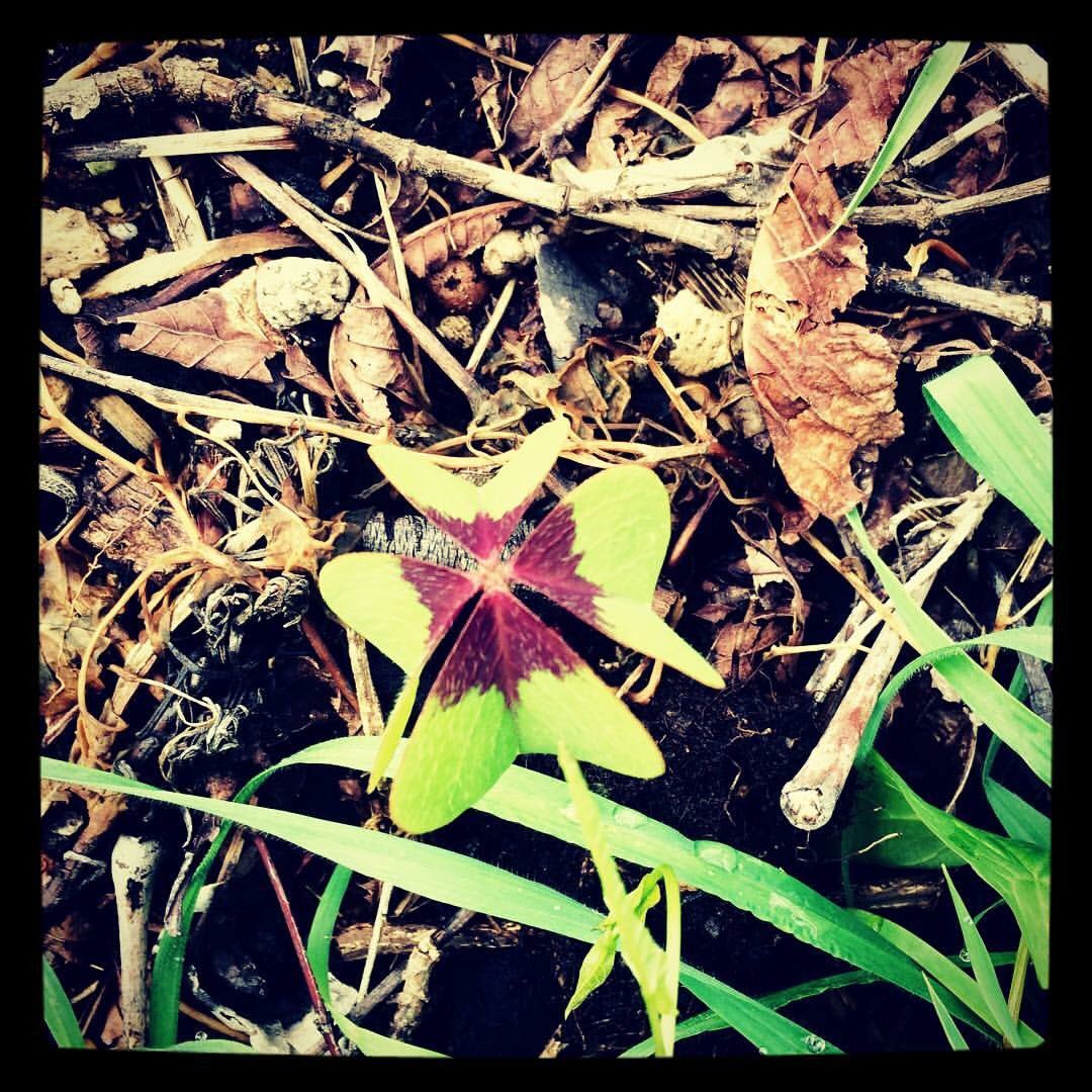NutEnjoy's tweet photo. #Lucky #Strike #Nature https://t.co/edeSF4oacU