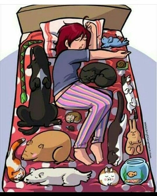 ThaiseFernande4's tweet photo. Minha vida resumida numa imagem. https://t.co/VheTdVEUCh