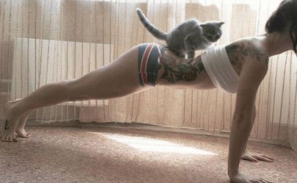 bstranks's tweet image. Time to join: goo.gl/p8gfX4?L2I  #hoe #Sexy #gadis #friday #kikmeuk #picture #EpicAnal