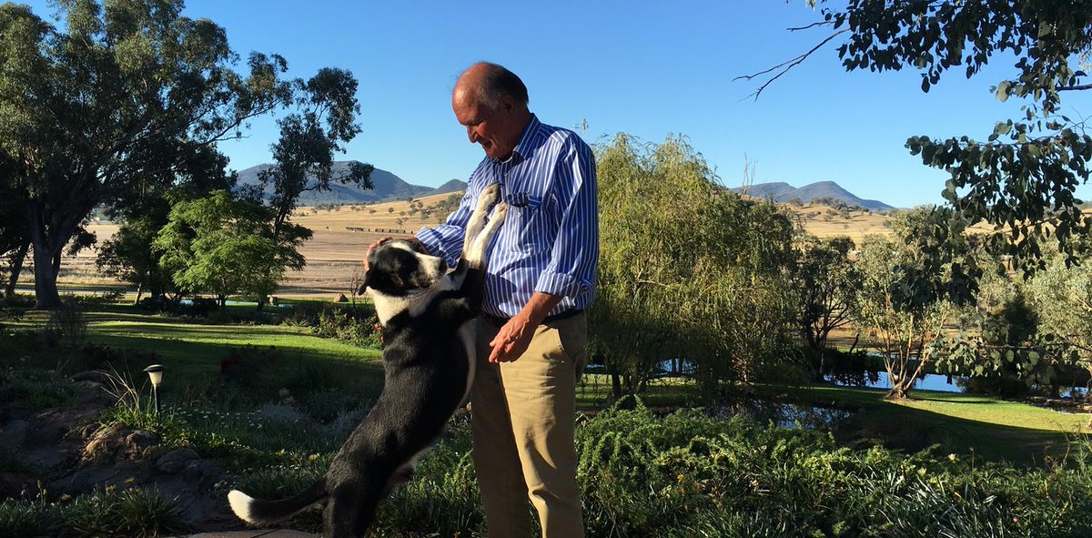DailyWorldReads's tweet image. From top dog to underdog – Tony Windsor's fight in New England puls.ly/NHxwkQ #news