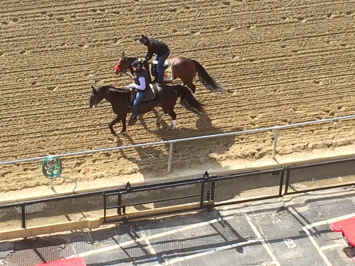 Reporterroblang's tweet photo. From @ScottWykoffWBAL after his workout, #Nyquist is resting in his stall listening to #MDNewsThisWeek Are you? https://t.co/Ar6TR1H2NZ