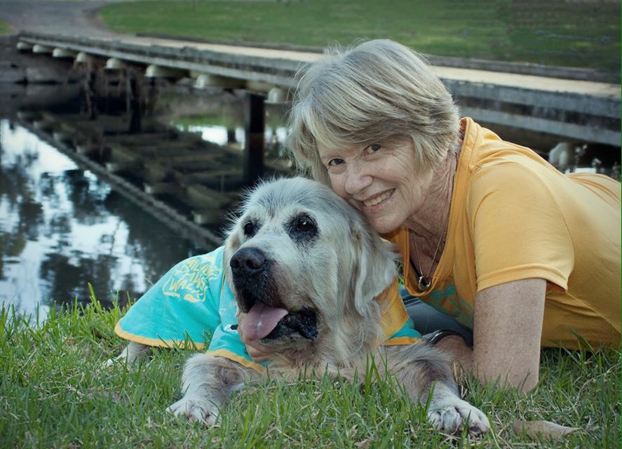 NeilsonJanneine's tweet photo. My first tweet. Winston did his 14th Millionpaws walk today at 15 years young, well done Winston. https://t.co/1tAR3Oo3rL