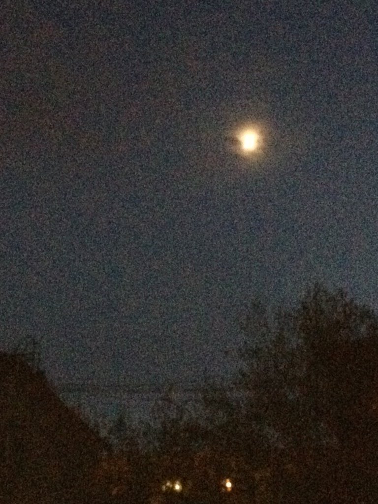 milkhv's tweet photo. rejoice at the Sun, and I’m dreaming of the Moon🌑🌕 #ТыбзюЦитаткиИзИнтернета https://t.co/12GyJuqk8y