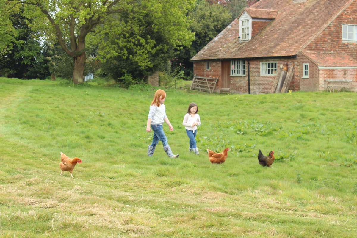 farmlocations's tweet photo. Introducing a new idyllic rustic farm location for film or photo shoots, in Sussex https://t.co/7VEfRx3XWb #sussex https://t.co/M8pHGtFGFG