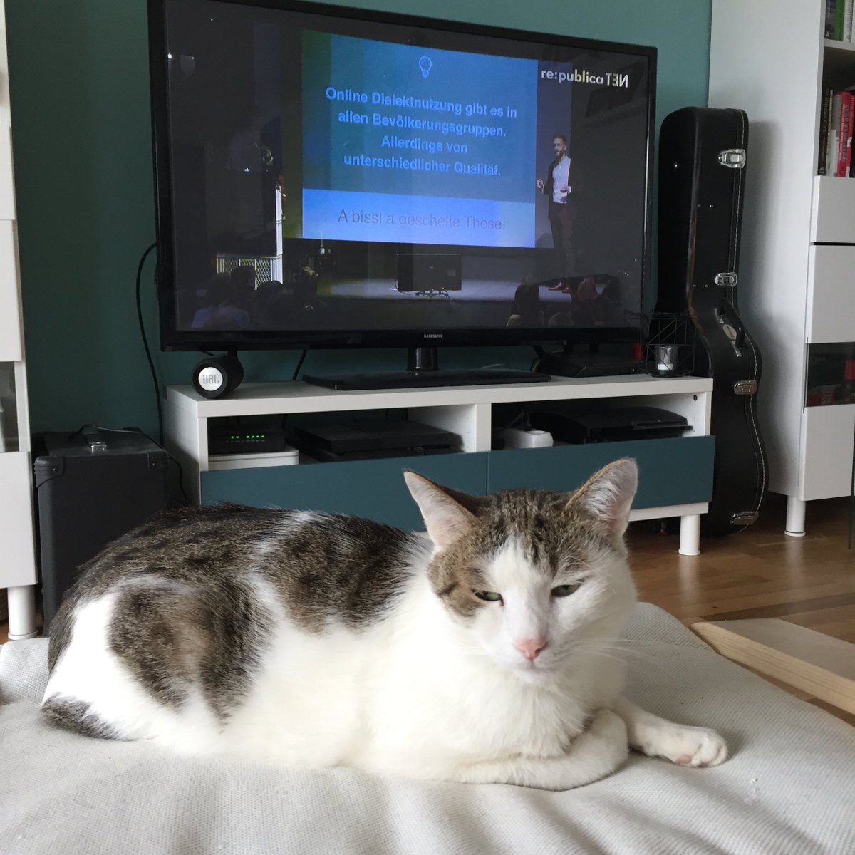 MichaelaWein's tweet photo. Mit dem Kater #oidaRP schauen <3 @eskarina @faebiaen https://t.co/JZs2ouv3yQ
