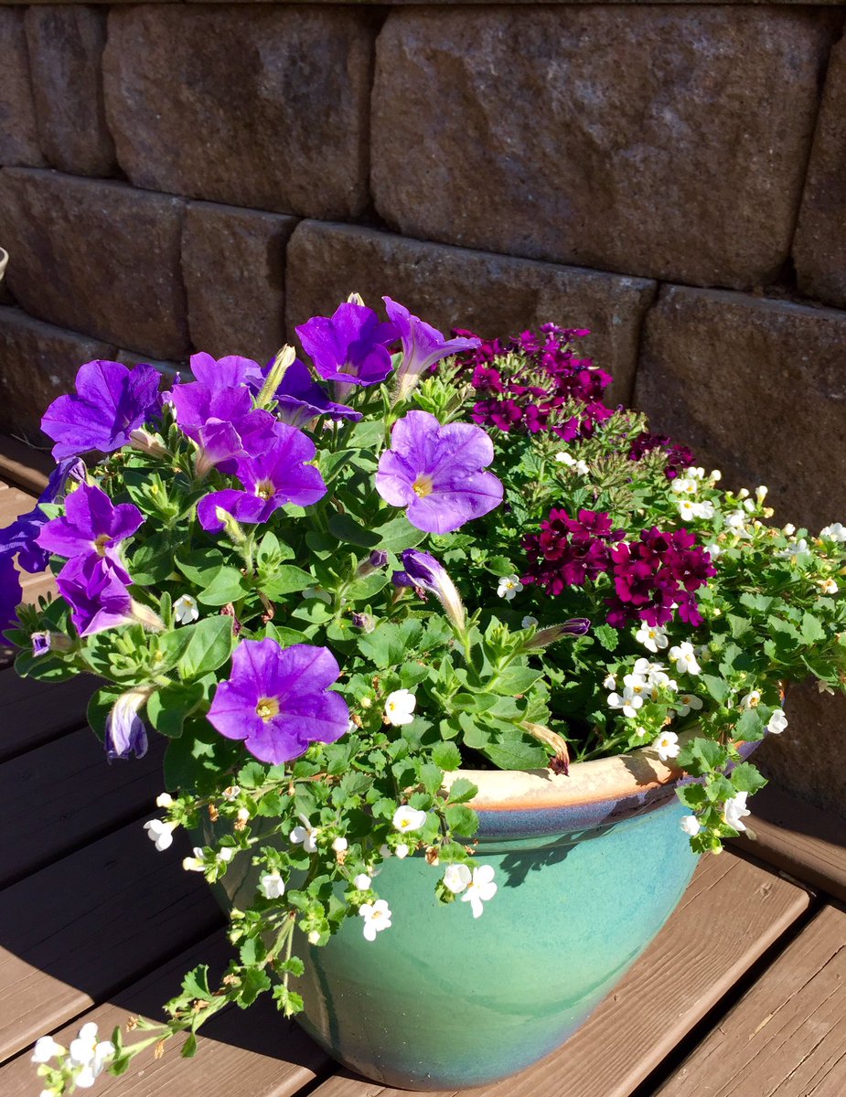 agricolaknows's tweet image. Hey #SundayFunday #Gardeners make it a Smart &amp;amp; Stylish #OneStepStyle day from #HGTV