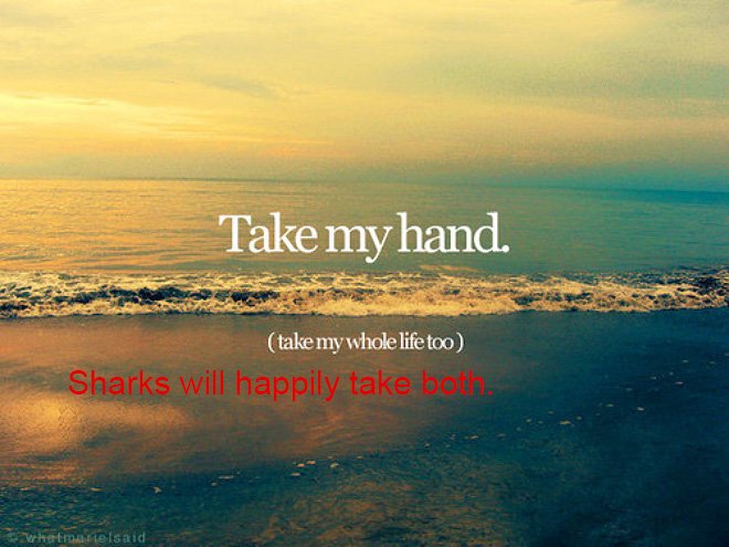 Muhammad Salahuddin Take My Hand Take My Whole Life Too Sharks Will Happily Take Both Sumonbuzz Muhammad Salahuddin Take My Hand Take My Whole Life Too Sharks Will Happily Take Both Sumonbuzz