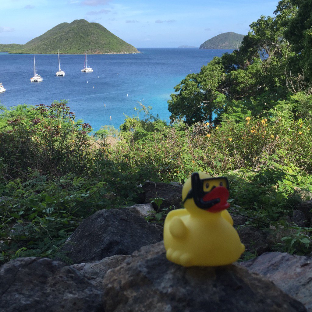 Follow the duck #stjohnprovisions #snorkelduck #whereani