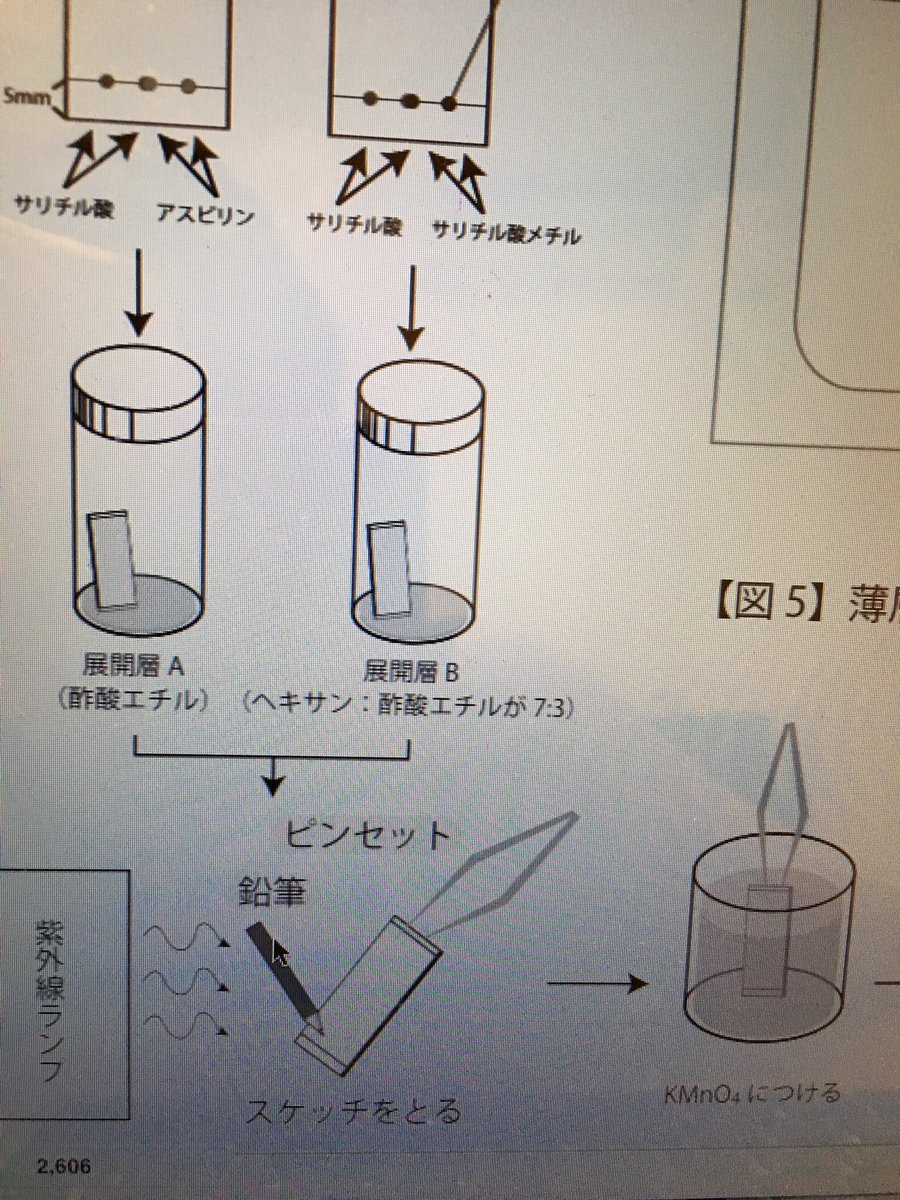 実験レポ図中に描いた展開層中の液面がTLCのスポット点を超えていることに気づき修正するとあら不思議!もう20分経ってましたとさ!!(死) 