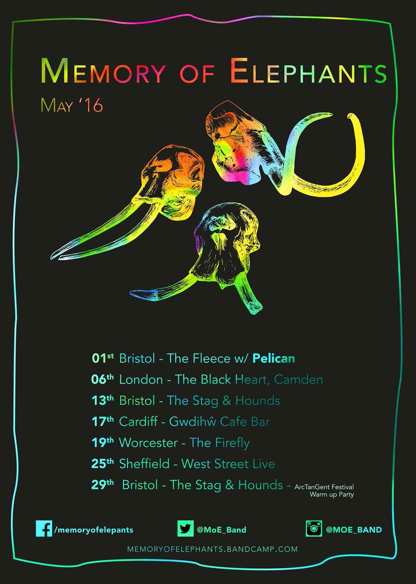 Memory of Elephants tweet media