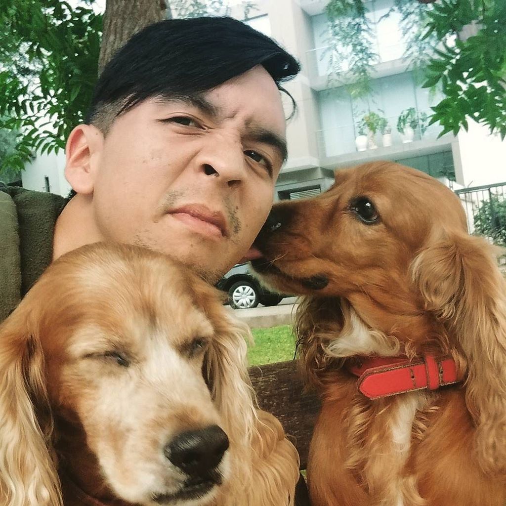 YuridiaVvallejo's tweet photo. Haciendo caritas con estas bellezas. Más de la sesión de fotos #matiasymateo #perrinis #doglover #mascotas by jliwan https://t.co/GdnljH65ex
