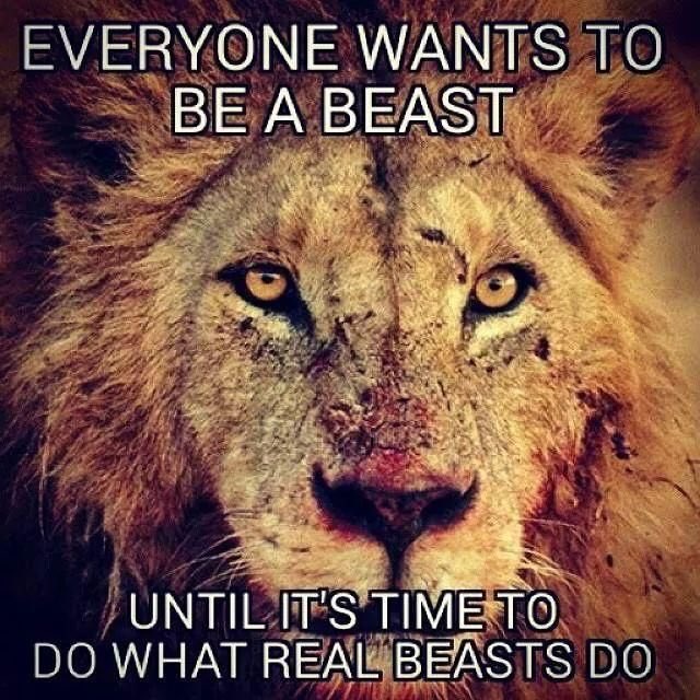 boy9wonder's tweet photo. Playoff time..lets get it @Nanterre92 @Jezli9 @DLamb20 @GRJR22 @mitymouse44 @rilo_1016 @10_Goyou @mamjaiteh14 https://t.co/pvMafmLlf2