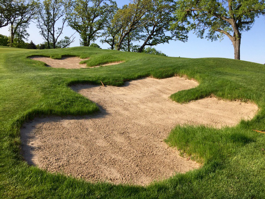 tcturf's tweet photo. After a couple years the bunkers are looking good!
#noedging #unkeptlook https://t.co/Kq99GzZtMO