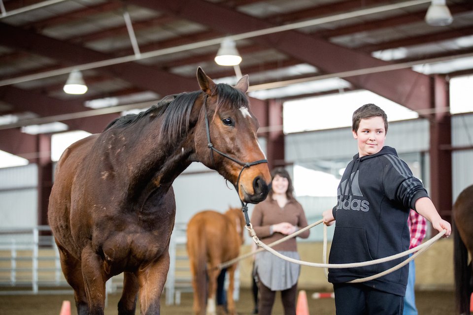 Actt_Naturally's tweet photo. #helpinghorses #empoweringhumans

https://t.co/cWknX2CO1w https://t.co/9TL0FQdJBF