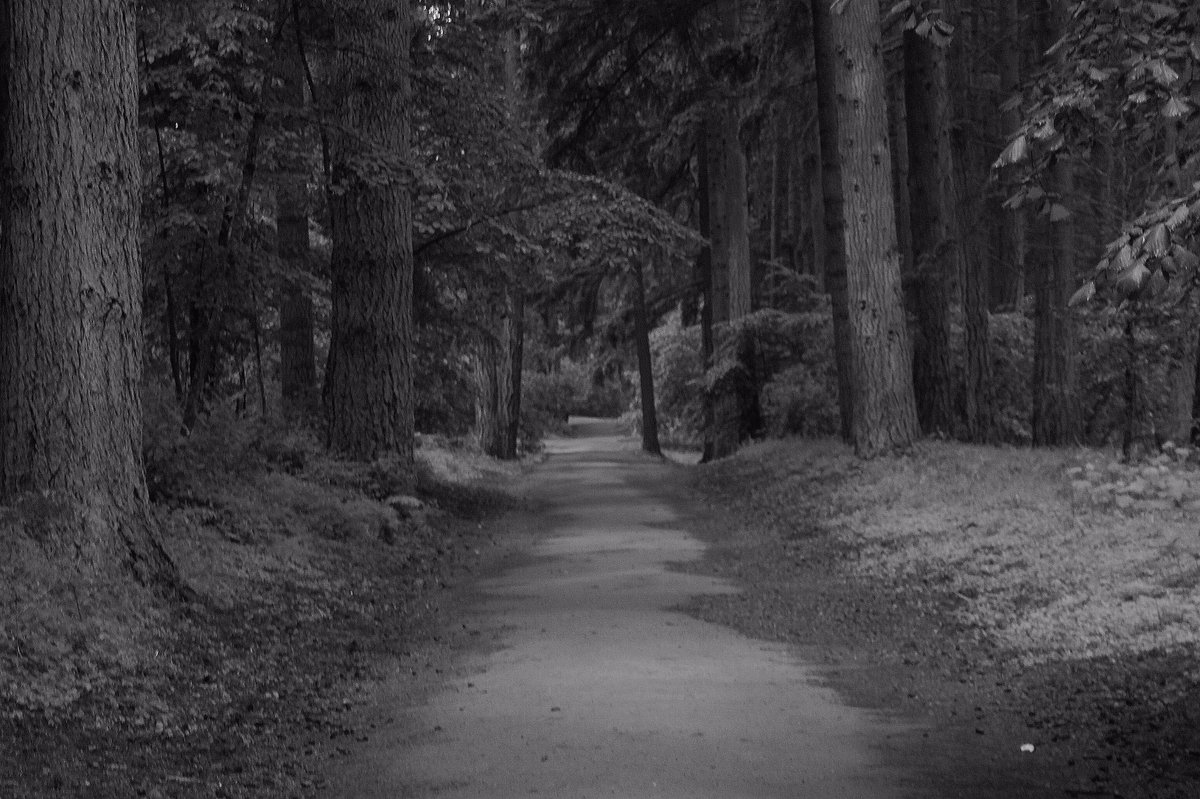 CautiousLB's tweet image. May 14th, 2016