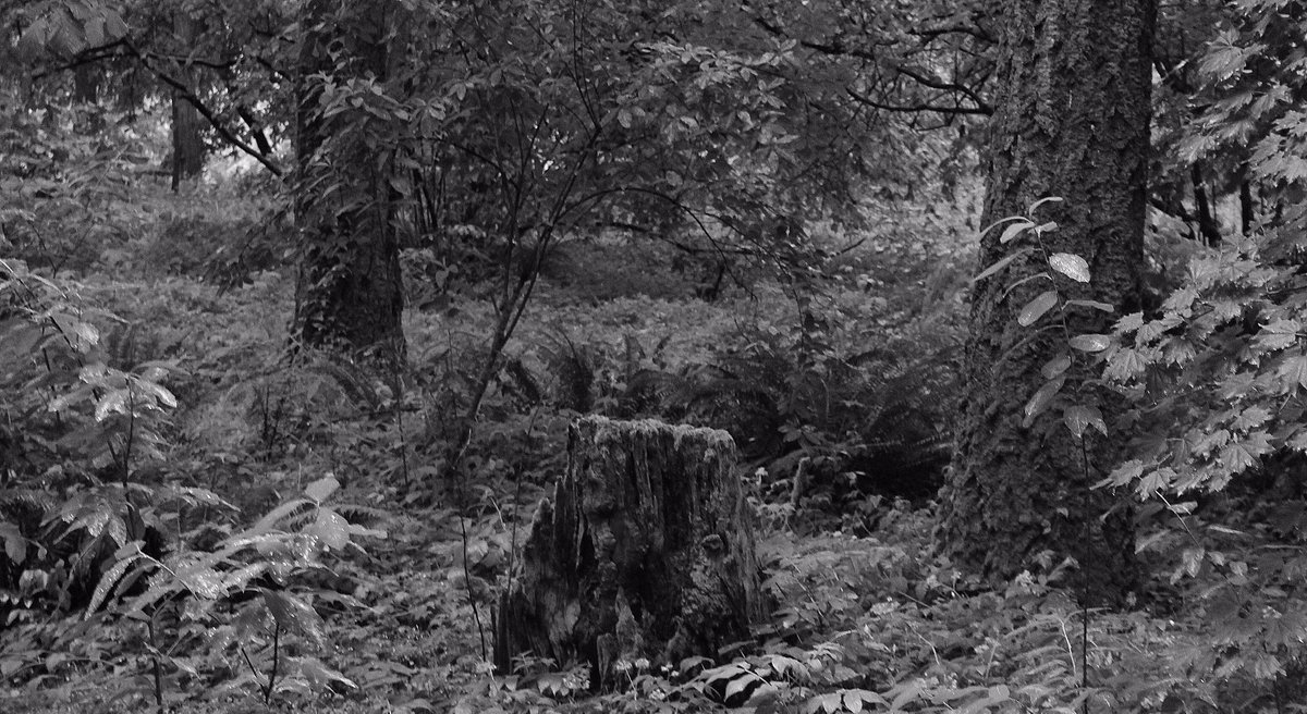 CautiousLB's tweet image. May 14th, 2016