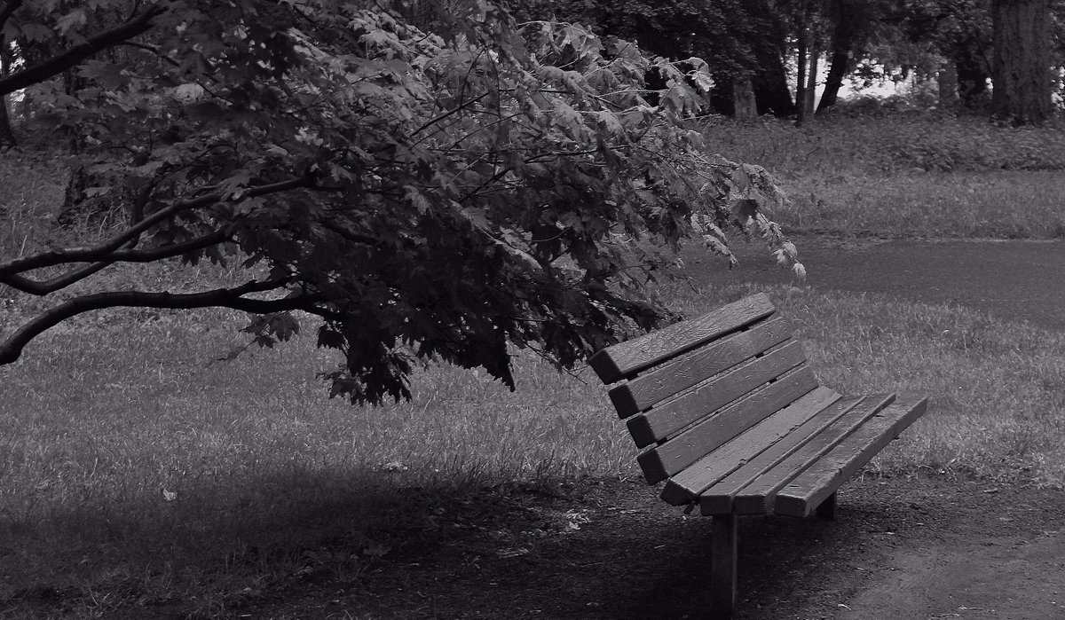 CautiousLB's tweet image. May 14th, 2016