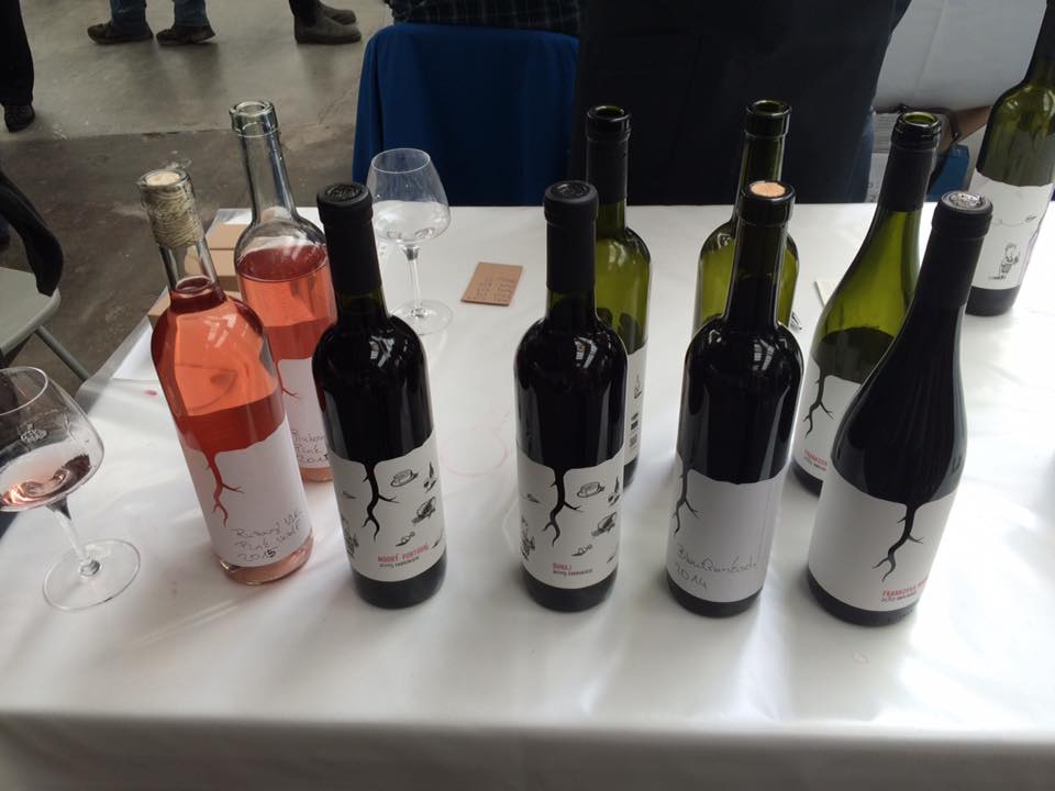 Come try our line-up! Visit us at table 117 for a selection of #SmallCarpathian wines #winelover