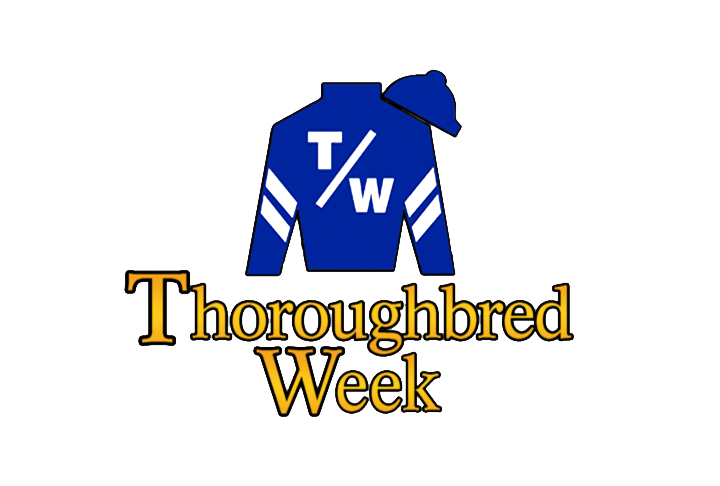 florida_horse's tweet photo. Click here to check out this week's Florida Thoroughbred Week!
https://t.co/aEmnvILgT5
@florida_horse #TBweek https://t.co/oAV2RA4UZA