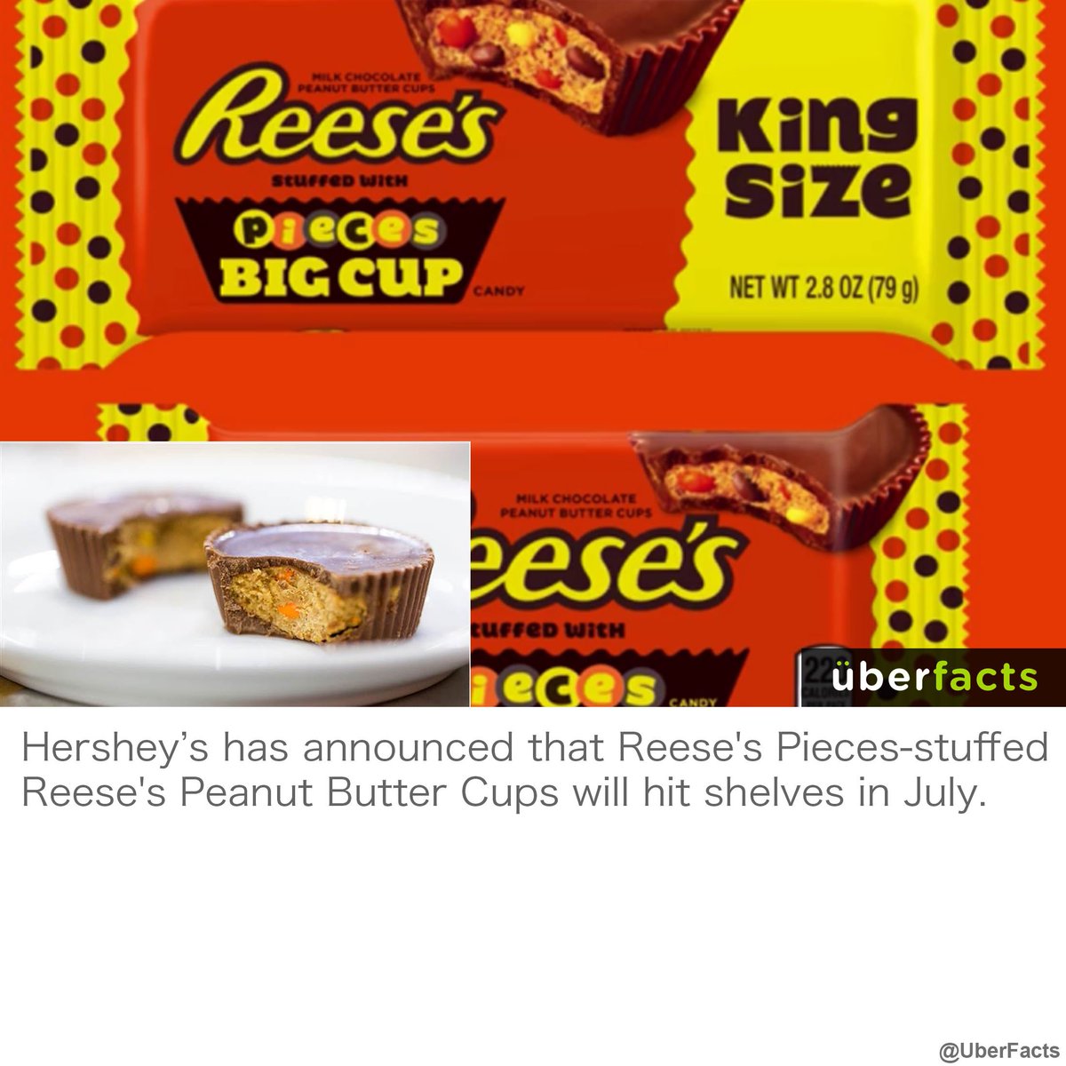 UberFacts tweet picture